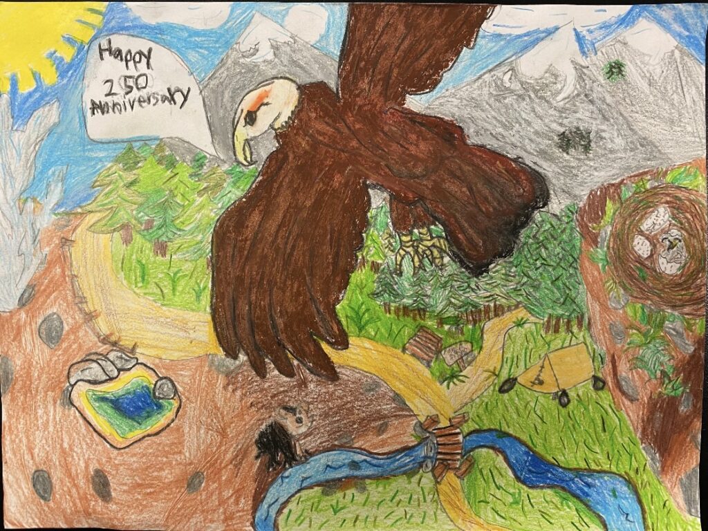Picture of an eagle flying