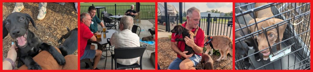 Barks and Brews photo collage